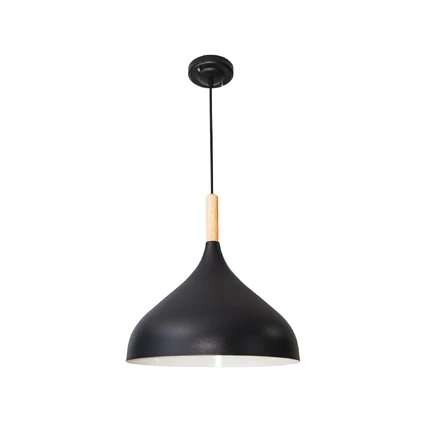 Подвесной светильник Arte Lamp KAYLA A7101SP-1BK